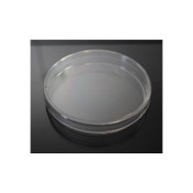 Petri Dish, 100 x 15mm